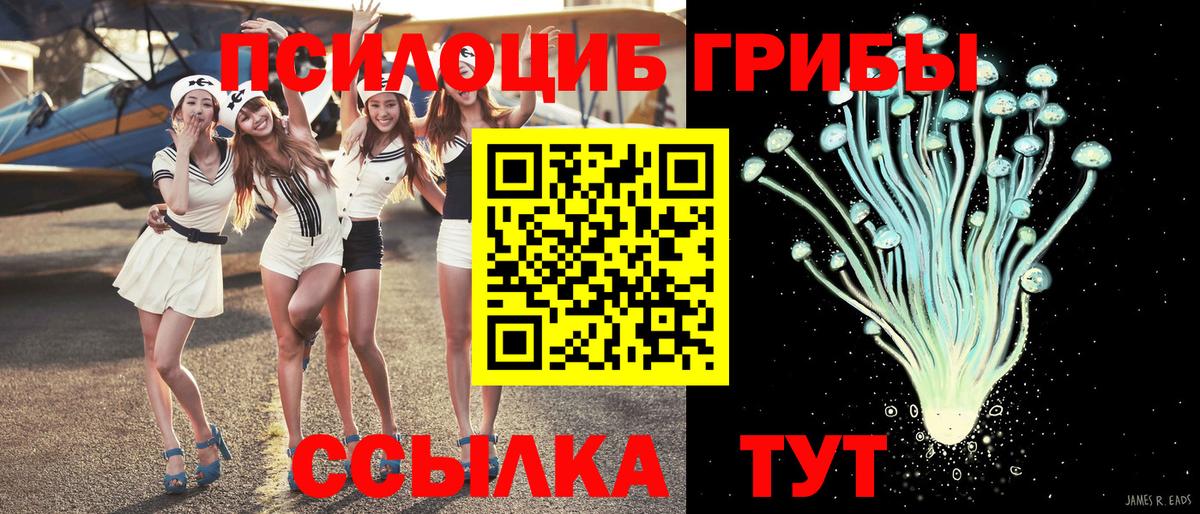 Кандалакша  Галлюциногенные грибы Psilocybine cubensis  Вход с VPN 