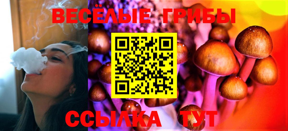 Галлюциногенные грибы GOLDEN TEACHER Кандалакша